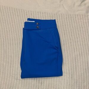 Gently Worn Haver + Blair Blue Pants